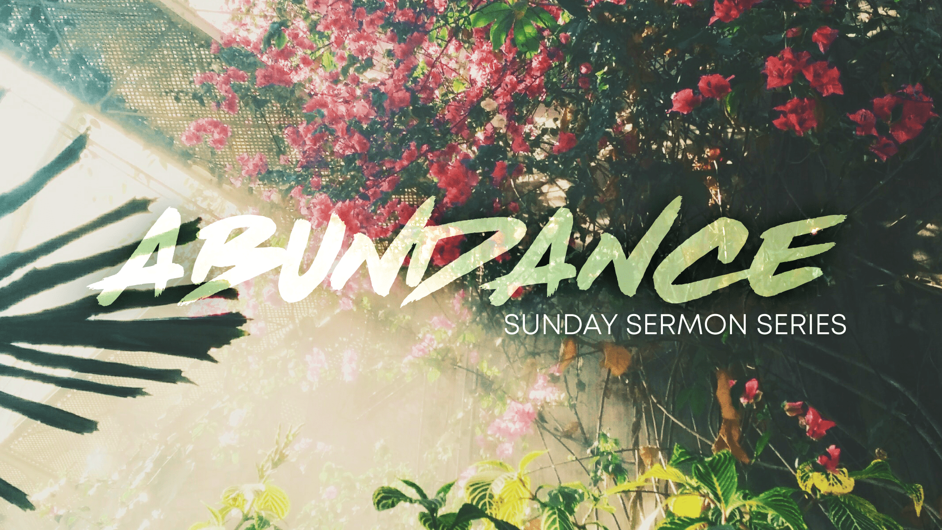 Abundance Sermon Series – Part 2: Emptied to Give